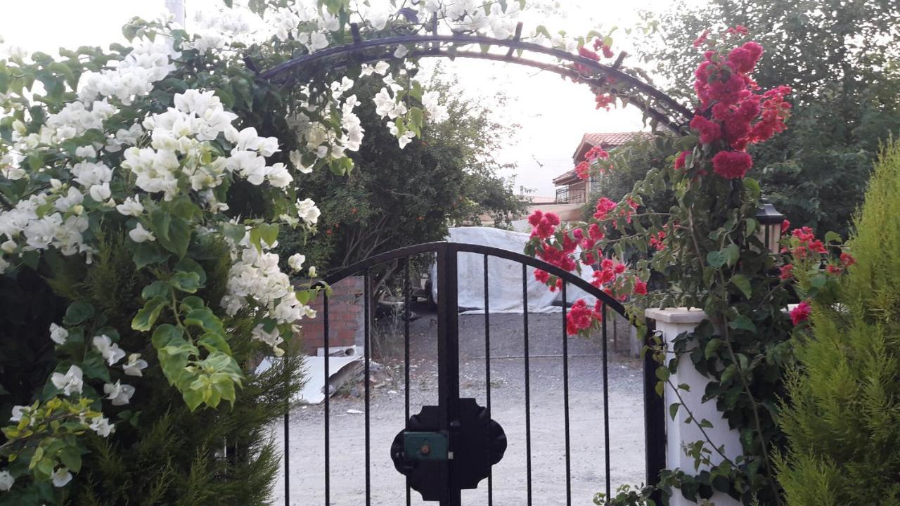 Villa Ebrar Dalyan มูกลา ภายนอก รูปภาพ